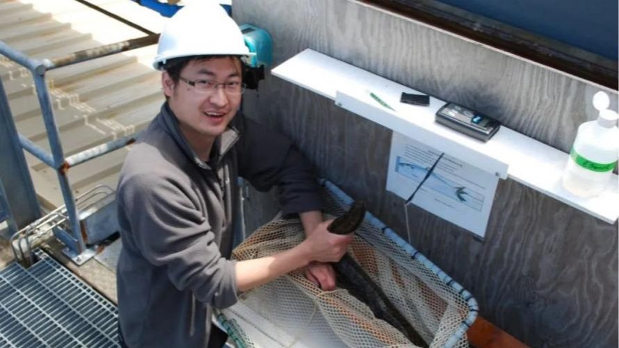 Helping fish navigate dams: one engineer's mission to restore the Yangtze River ecosystem